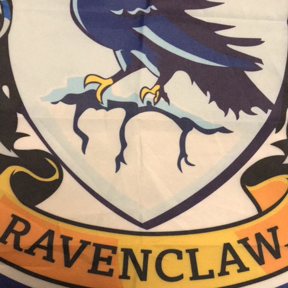 Harry Potter’s School of Ravenclaw Banner - Picture 2 of 9